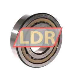 SKF NJ310ECPH/HN3C4