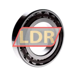 SKF N218ECP/C3 rulman resim 3