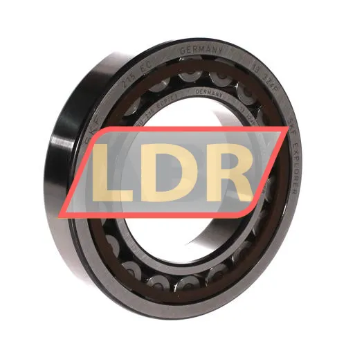 SKF NU215ECP/C3