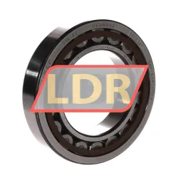 SKF NU215ECP/C3