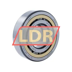 SKF NUP310ECML/C3