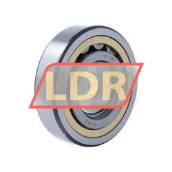SKF NUP310ECML/C3 rulman resim 2