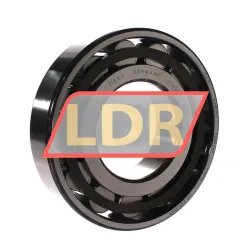 SKF N318ECP