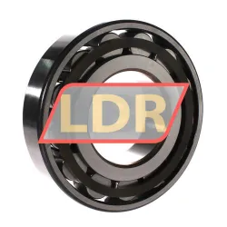 SKF N318ECP rulman resim 2