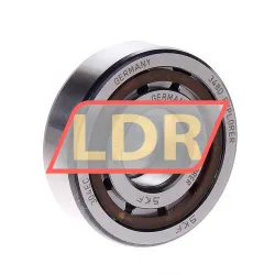 SKF NUP304ECP