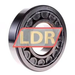 SKF NU317ECJ