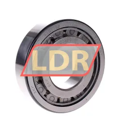SKF NJ310ECJ
