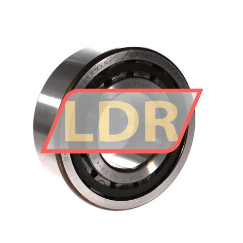 SKF NJ2314ECP