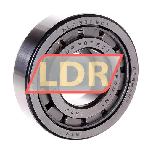 SKF NUP307ECJ