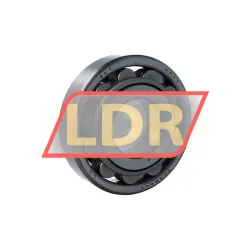 SKF N411/R899