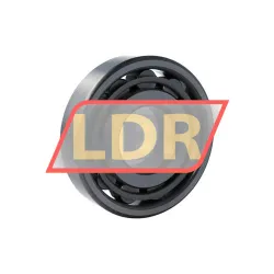 SKF N411/R899 rulman resim 2
