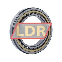 SKF NU1022MLS/P54S1VQ015