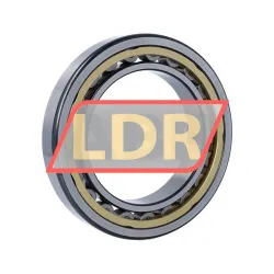 SKF NU1022MLS/P54S1VQ015 rulman resim 2