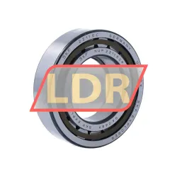 SKF NUP2211ECP/C3