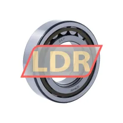SKF NUP2211ECP/C3 rulman resim 2