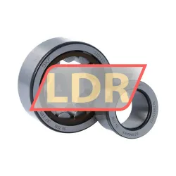 SKF NJ2305ECP/C3 rulman resim 3