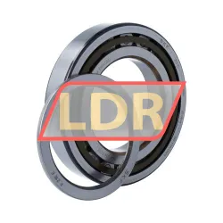 SKF NUP216ECP/C3