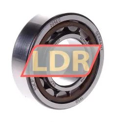 SKF NU205ECP