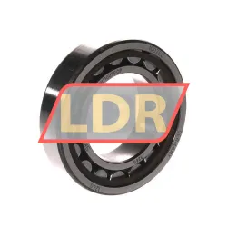 SKF NU1007ECP