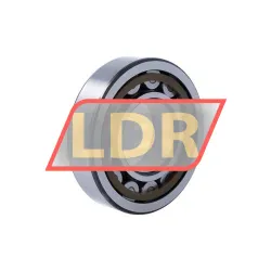 SKF NJ311ECP/C5 rulman resim 2