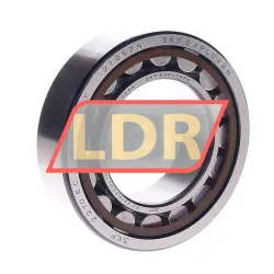 SKF NU2210ECML/C3