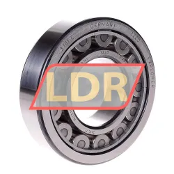 SKF NU310ECJ/C3