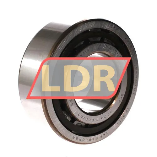 SKF NJ2313ECP/C3