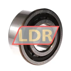 SKF NJ2313ECP/C3