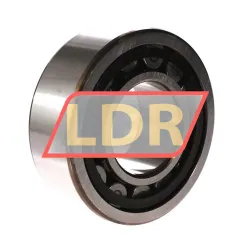SKF NJ2313ECP/C3 rulman resim 2