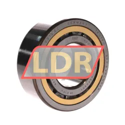 SKF NJ2312ECML/C3