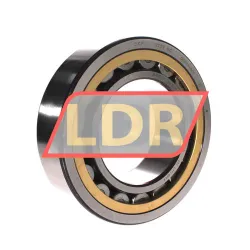 SKF NU2222ECML/C3