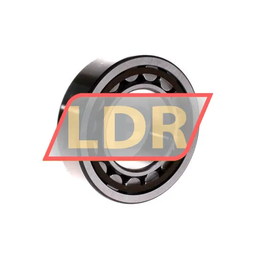 SKF NU2209ECP ürün fotoğrafı 2