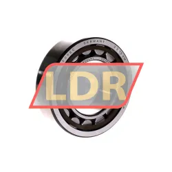 SKF NU2209ECP