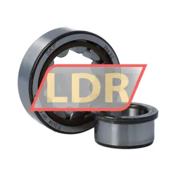 SKF NJ204ECP/C3 rulman resim 3