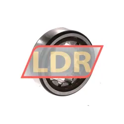 SKF RNU204ECP rulman resim 2