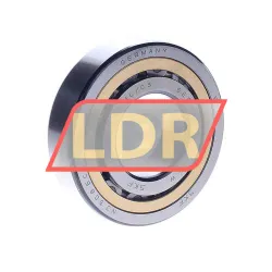 SKF NJ308ECML/C3