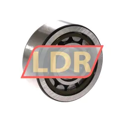 SKF NU2305ECP/C3 rulman resim 2