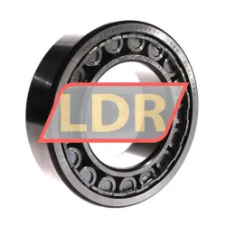 SKF NU2219ECJ/C3