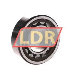SKF NJ205ECP/C3 rulman resim 2