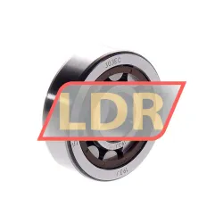 SKF NU303ECP