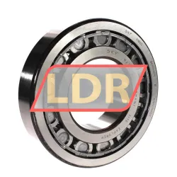 SKF NJ318ECJ