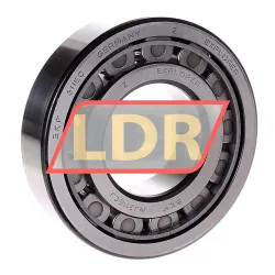 SKF NJ311ECJ