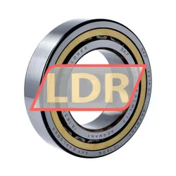 SKF NJ2216ECML/C3