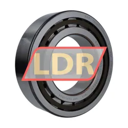 SKF NUP2222ECP/C3/R821