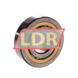 SKF NJ306ECML