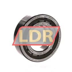 SKF NUP2209ECP