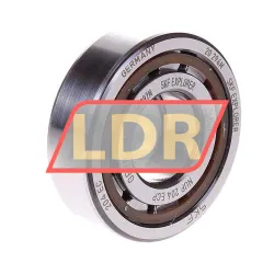 SKF NUP204ECP