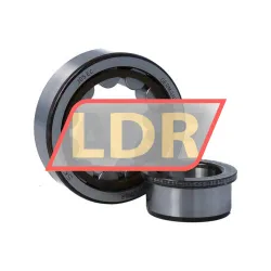 SKF NJ305ECP/C4VQ015 rulman resim 3