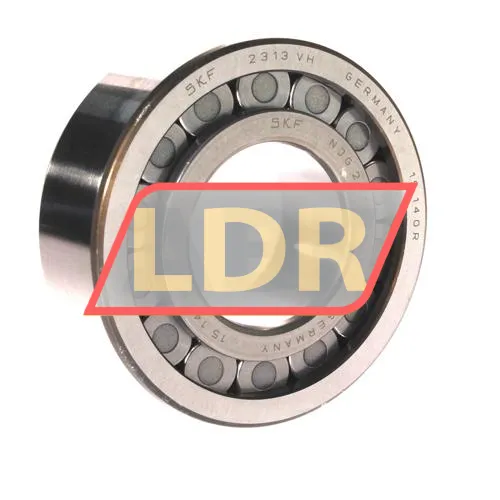 SKF NJG2313VH/C3