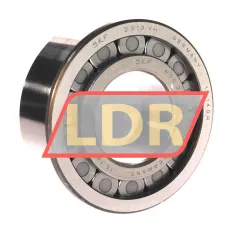SKF NJG2313VH/C3